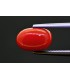 3.22 cts Natural Coral (Moonga)