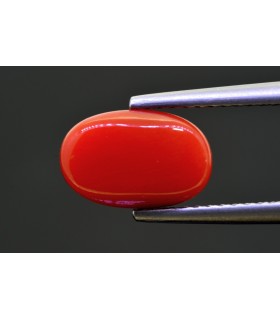 3.22 cts Natural Coral - Moonga (SKU:90159244)