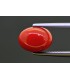 4.10 cts Natural Coral (Moonga)