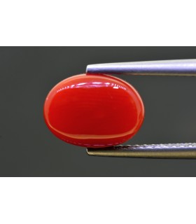 4.10 cts Natural Coral - Moonga (SKU:90159251)