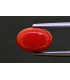 2.97 cts Natural Coral (Moonga)