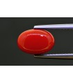 2.97 cts Natural Coral (Moonga)