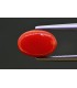 2.97 cts Natural Coral - Moonga (SKU:90159268)