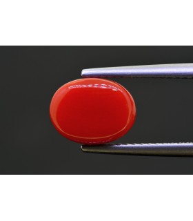 3.34 cts Natural Coral - Moonga (SKU:90159275)