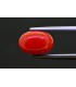 3.83 cts Natural Coral (Moonga)