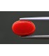 3.83 cts Natural Coral - Moonga (SKU:90159282)