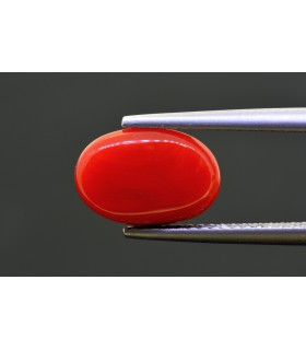 3.83 cts Natural Coral - Moonga (SKU:90159282)