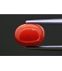 3.77 cts Natural Coral (Moonga)
