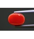 3.77 cts Natural Coral - Moonga (SKU:90159299)