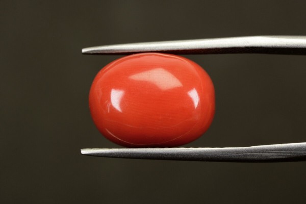 11.68 cts Natural Coral (Moonga)