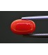 3.16 cts Natural Coral (Moonga)