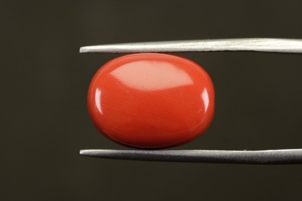 11.68 cts Natural Coral (Moonga)