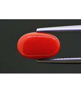 3.16 cts Natural Coral - Moonga (SKU:90159305)