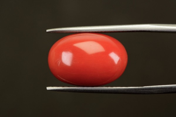 11.52 cts Natural Coral (Moonga)