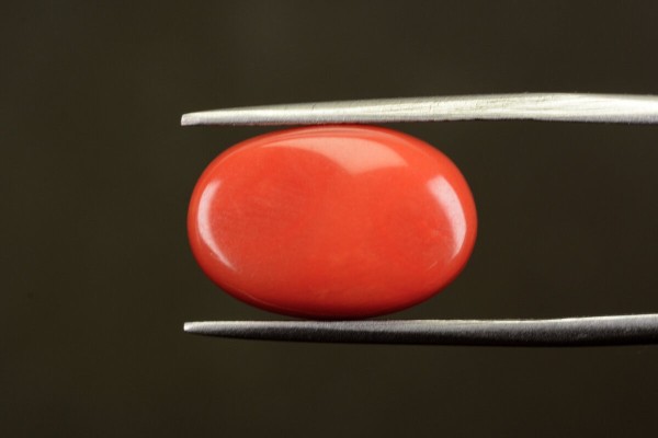 11.52 cts Natural Coral (Moonga)