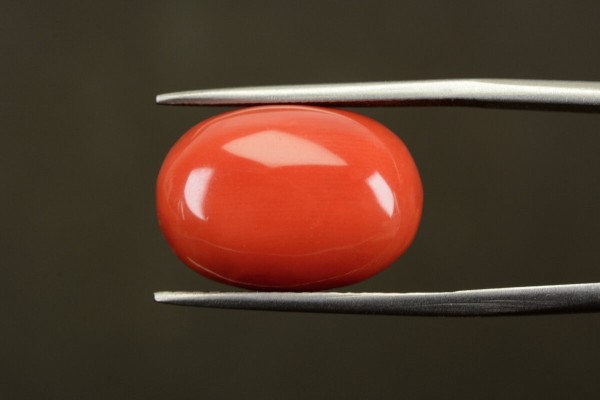 16.05 cts Natural Coral (Moonga)