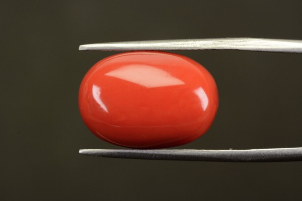 16.05 cts Natural Coral (Moonga)