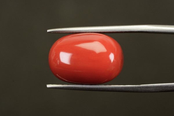 12.46 cts Natural Coral (Moonga)