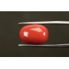 12.46 cts Natural Coral (Moonga)