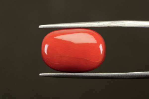 12.46 cts Natural Coral (Moonga)