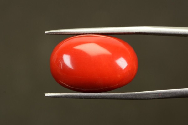 18.95 cts Natural Coral (Moonga)
