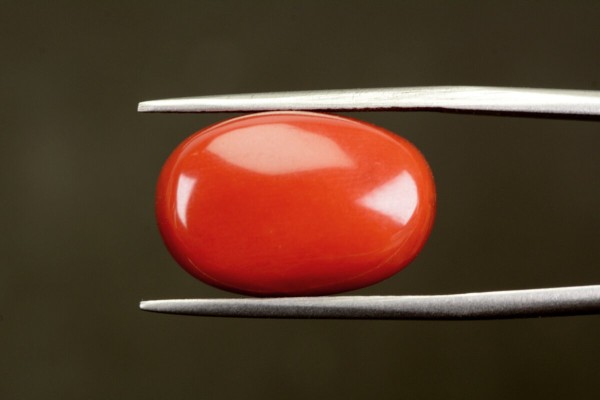 18.95 cts Natural Coral (Moonga)