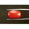 18.95 cts Natural Coral (Moonga)