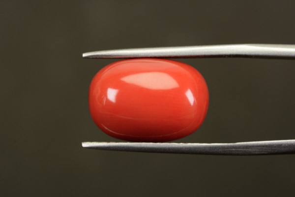 11.76 cts Natural Coral (Moonga)