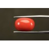 11.76 cts Natural Coral (Moonga)