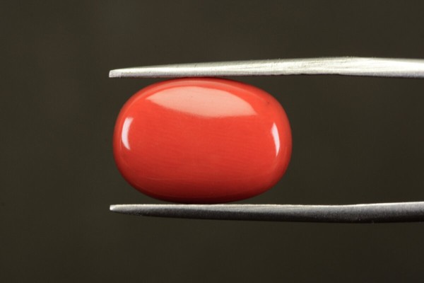 11.76 cts Natural Coral (Moonga)