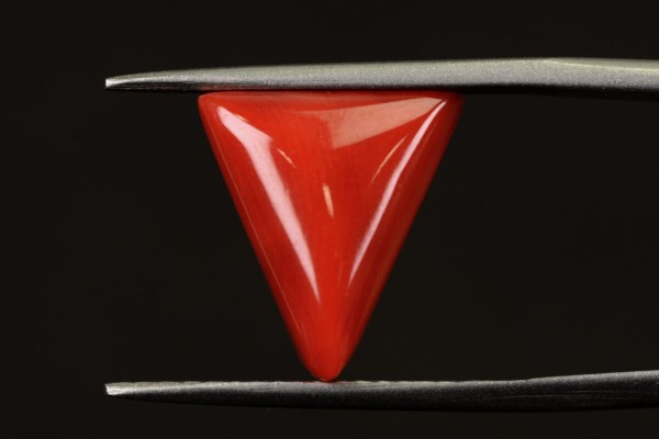 5.32 cts Natural Coral (Moonga)