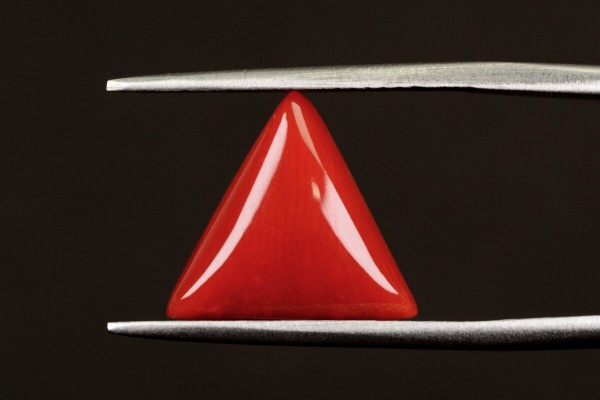4.56 cts Natural Coral (Moonga)