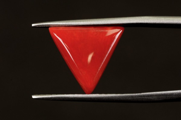 4.56 cts Natural Coral (Moonga)