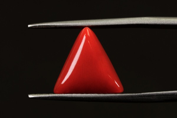 4.7 cts Natural Coral (Moonga)