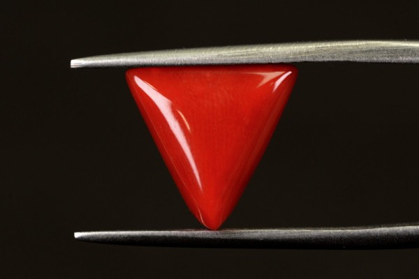 4.7 cts Natural Coral (Moonga)