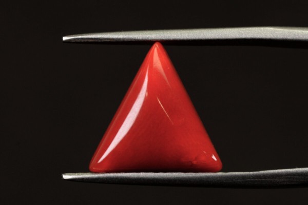 5.67 cts Natural Coral (Moonga)