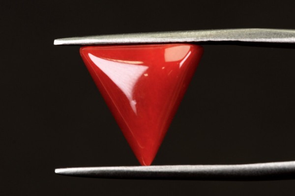 5.67 cts Natural Coral (Moonga)