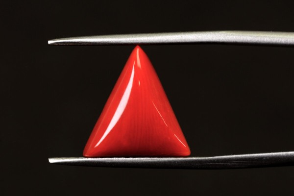 5.36 cts Natural Coral (Moonga)