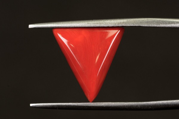 5.36 cts Natural Coral (Moonga)