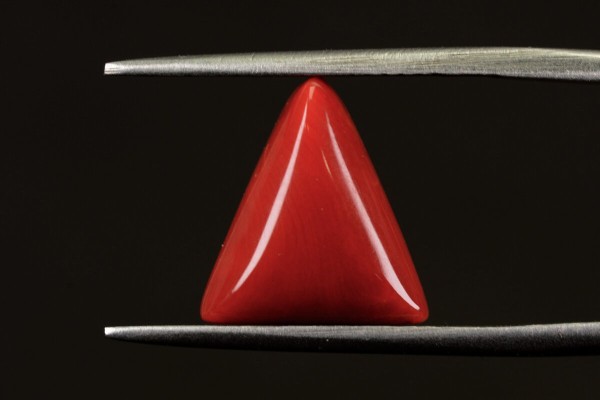 4.66 cts Natural Coral (Moonga)