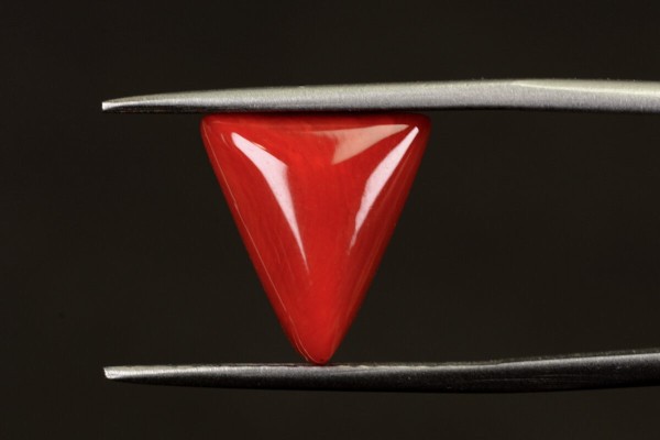 4.66 cts Natural Coral (Moonga)