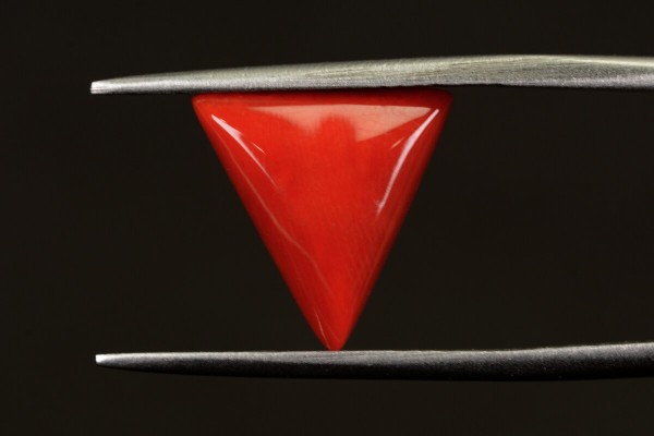 4.77 cts Natural Coral (Moonga)