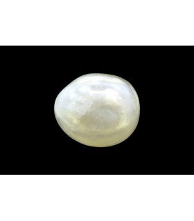 3.62 cts Natural Pearl - Moti (SKU:90160226)