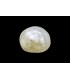 3.37 cts Natural Pearl - Moti (SKU:90160233)