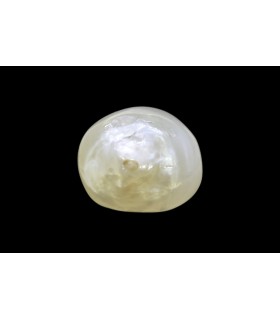 3.37 cts Natural Pearl - Moti (SKU:90160233)