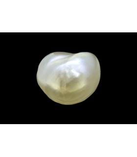 3.13 cts Natural Pearl (Moti)