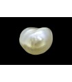 3.13 cts Natural Pearl (Moti)