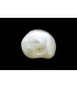 3.13 cts Natural Pearl - Moti (SKU:90160240)