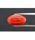 3.98 cts Natural Coral (Moonga)