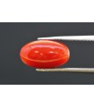 3.98 cts Natural Coral (Moonga)